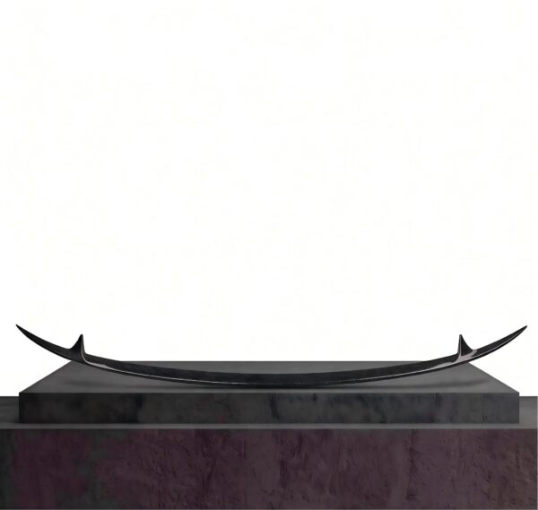 Lexus RC Dry Carbon Fiber Aftermarket Parts