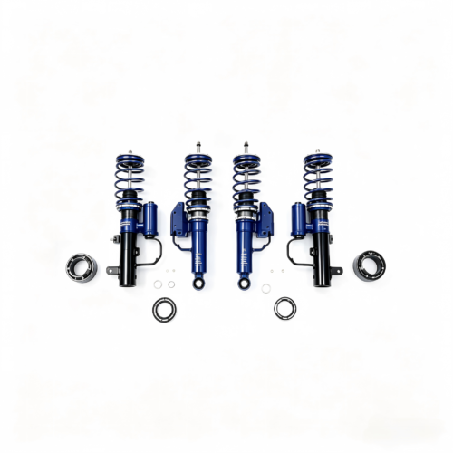 Honda Civic (9th Generation) Coilovers